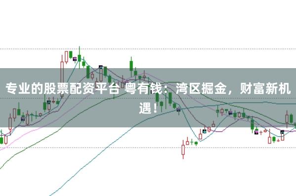 专业的股票配资平台 粤有钱：湾区掘金，财富新机遇！