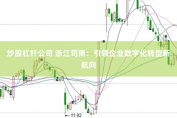 炒股杠杆公司 浙江司南：引领企业数字化转型新航向