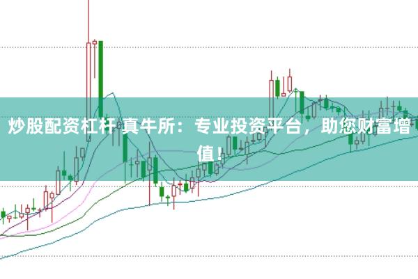 炒股配资杠杆 真牛所：专业投资平台，助您财富增值！