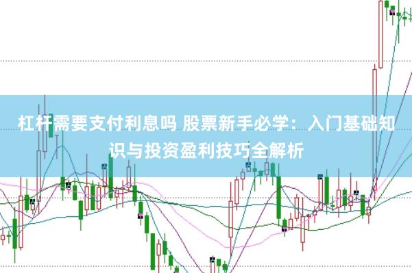 杠杆需要支付利息吗 股票新手必学：入门基础知识与投资盈利技巧全解析