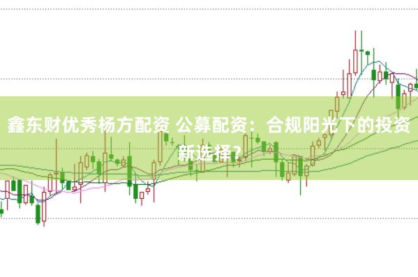 鑫东财优秀杨方配资 公募配资：合规阳光下的投资新选择？